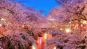 Волшебные фото Японии во время цветения сакуры