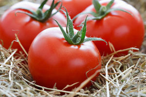 Как сохранить томаты свежими надолго