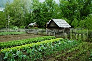 Как лучше «огород городить»: идеи и советы от практиков