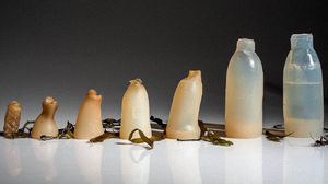 Бутылка из водорослей может решить одну из проблем экологии