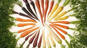 Семена моркови – лучшие сорта по мнению огородников + Видео