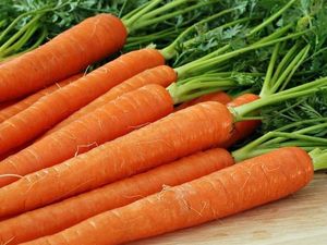 5 шагов к высокому урожаю моркови