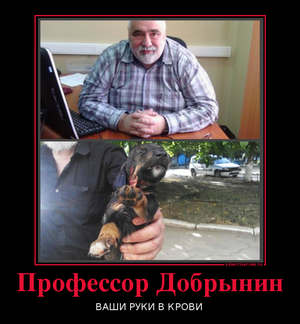 Профессор РГСУ зверски убивает собак