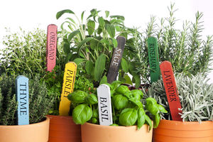 Бирки для маркировки растений: как выбрать и как сделать