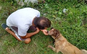 Нет таких ран, за которые он бы не взялся! Защитник животных из Бразилии спас безнадёжного щенка