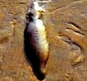 Странный объект на фотографиях поверхности Марса
