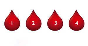 Что ваша группа крови может сказать о вашем характере?