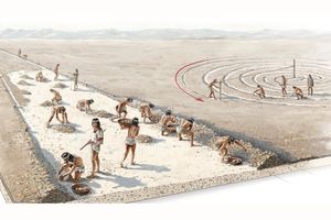 Археологи нашли на плато Наска более 50 ранее неизвестных геоглифов
