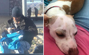 Бездомный мужчина спас собачку от гибели и получил взамен настоящий подарок судьбы