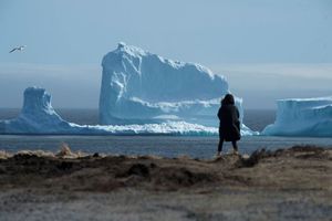 Огромный айсберг, приплывший в канадскую деревню парализовал движение