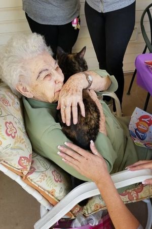 103-летняя бабушка сильно горевала по ушедшему коту, пока в ее жизни не появилась Марли