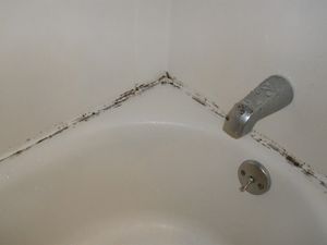 Эффективный и недорогой способ, как избавиться от плесени в ванной. Элементарно просто!