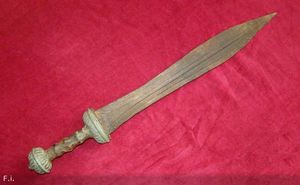 Гладиус - латинское слово, обозначающее «меч».