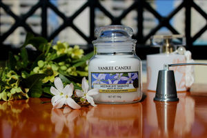 Yankee Candle Midnight Jasmine / Полуночный жасмин. 