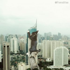 Котзиллы индонезийской художницы Франсдиты Муафидин (14 фото)