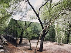 Зеркальный дом в мексиканских лесных зарослях