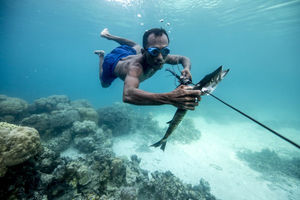 Индонезийские «люди-рыбы» имеют мутацию, которая позволяет им находиться под водой несколько минут
