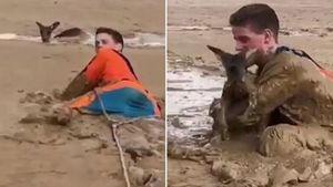 «На поверхности торчали только уши…» Подросток нырнул в болото, чтобы спасти кенгурёнка!