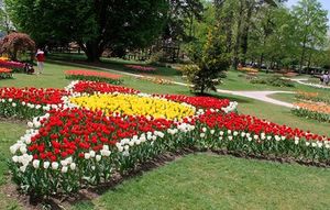 Турецкий фестиваль тюльпанов украшает парк Швейцарии