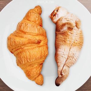 Коты в еде — запредельно забавный проект от российской художницы, который надо видеть