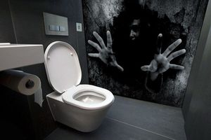 Дамский туалет и жестокие реалии или самые страшные и странные вещи, которые время от времени происх