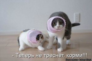 Теперь не треснет! Корми!