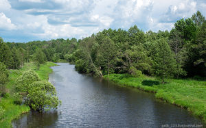 Верховье Десны