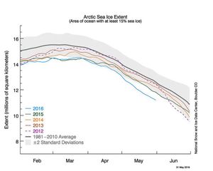 Этим летом площадь Арктических льдов поставит новый рекорд