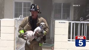 В Калифорнии храбрый пожарный вытащил из огня двух собак
