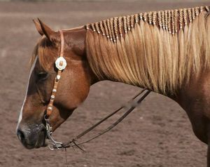 15 лошадок с очень красивыми прическами