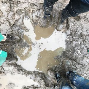 Фестиваль «Нашествие-2018» увяз в грязи.