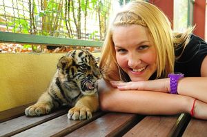 Тигриное Королевство Чианг Мая (Chiang Mai Tiger Kingdom)