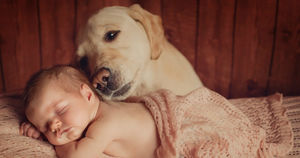 Лучшие собаки для детей: ТОП-5 самых дружелюбных питомцев!
