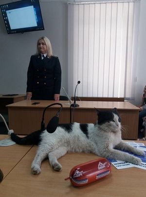 В Шевченковском райсуде Запорожья судили кота Ваську за кражу колбасы