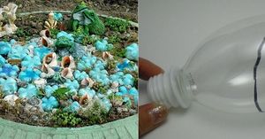 Отрежь донышко у пластиковой бутылки: вот как можно украсить любимый сад!