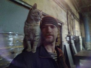 Наша скромная цеховая кошка