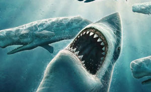 Дайверы повстречали в океане огромную акулу-монстра