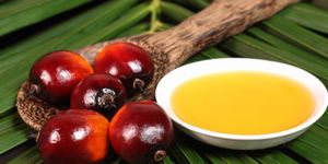 Пальмовое масло — полезные свойства для кожи лица