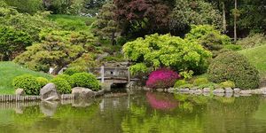 12 самых потрясающих ботанических садов мира