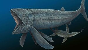 Палеонтологи вычислили, с какой скоростью плавали самые крупные костные рыбы в истории