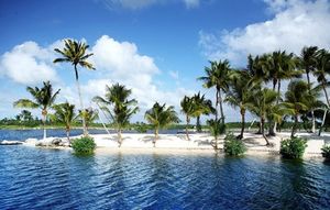 Каймановы острова обещают компенсации туристам от ураганов во время Карибского отдыха в этом сезоне