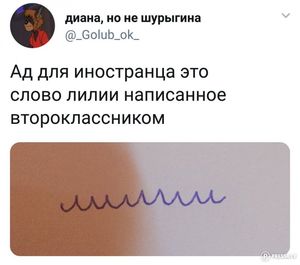 Приколы из социальных сетей