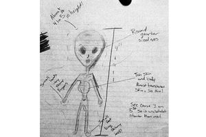 12-летняя девочка из Орегона рассказала, что видела в лесу пришельца
