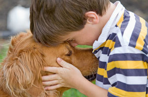 Нет, это не миф: собаки действительно узнают плохих людей по запаху!