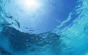 Зоны смерти в Мировом океане: почему здесь никто не живет