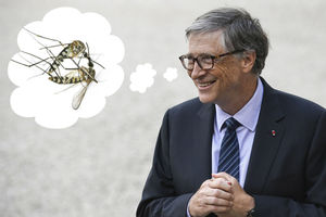Билл Гейтс сошел с ума: Он собирается убить комаров