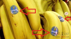 Вот что означают эти странные наклейки на бананах