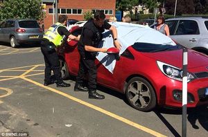 Полицейские разбили окно в машине, чтобы вытащить оставленных на жаре собак