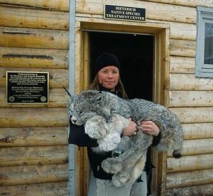 Милые, но смертельно опасные животные