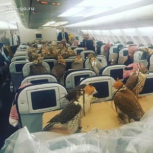 Мир сошёл с ума: вот для кого Саудовский принц купил 80 билетов на самолёт